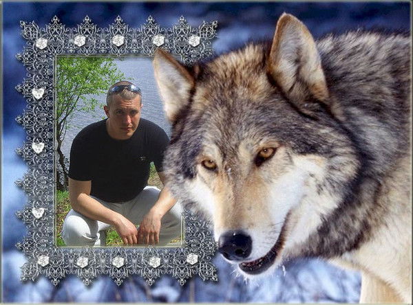 Александр Сериков