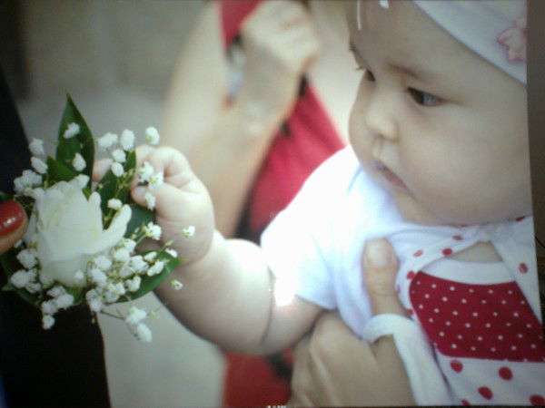 Гузик ***********