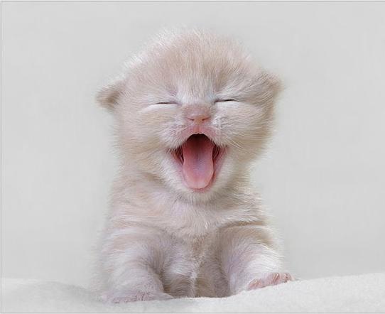 Марина Шахрай