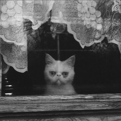 Амир Валиуллин