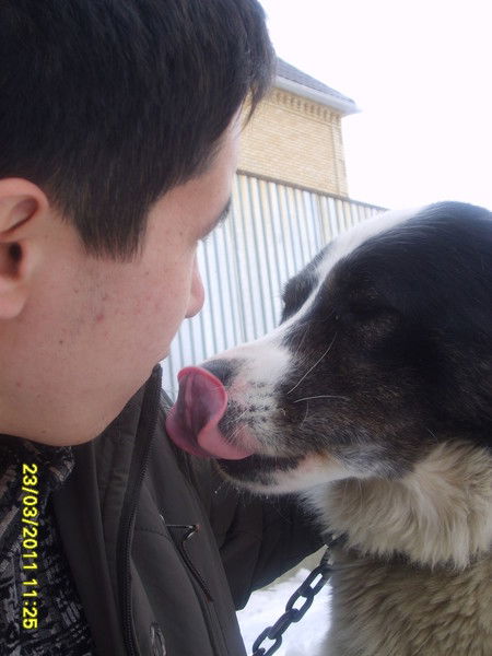 Ерлан Айтмурзин