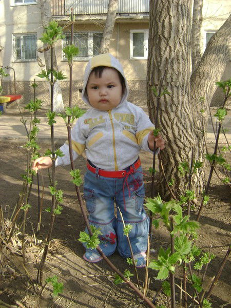 Айгерим Исниязова