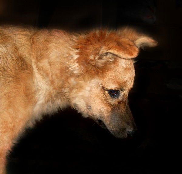 Лизавета Озерных