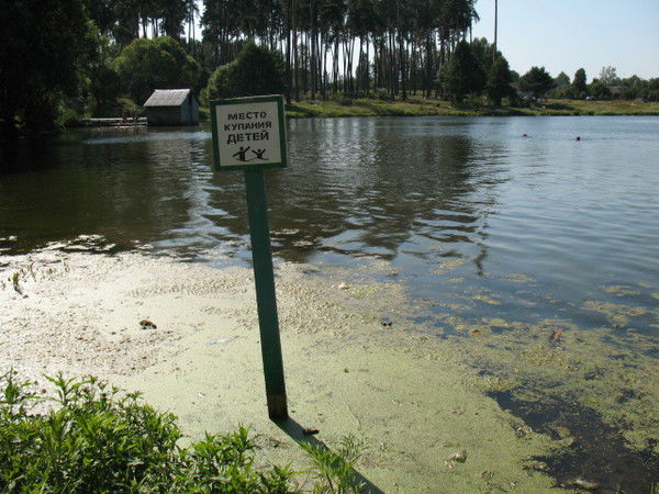 Сергей Башкиров