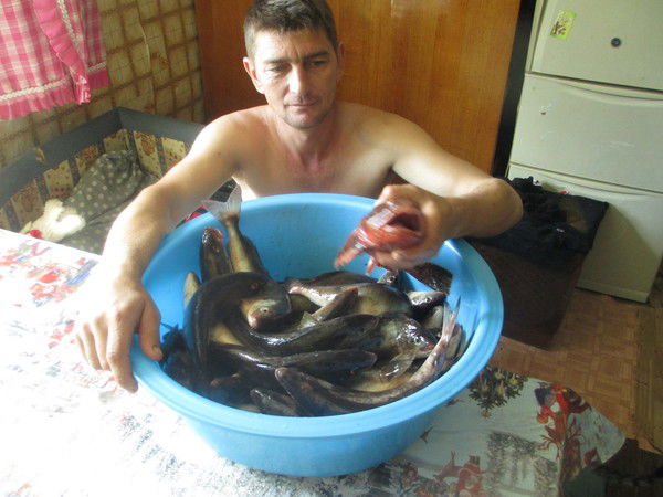 Виктор Сургутский