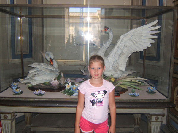 Хочу Дружакать