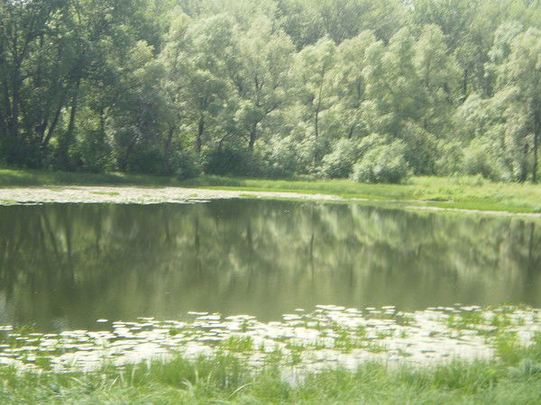 Екатерина Плотникова