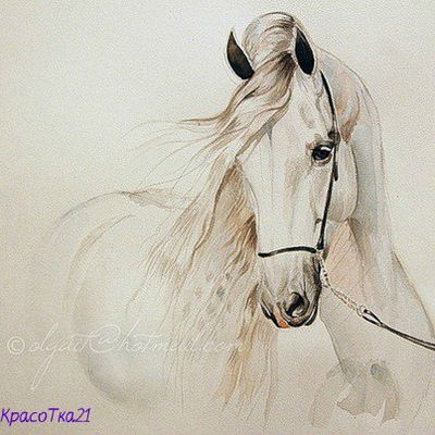 Арина Гринберг