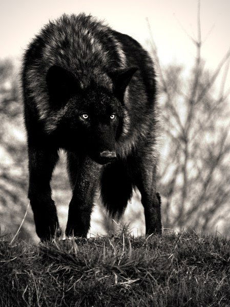 Нурбек Ахметов