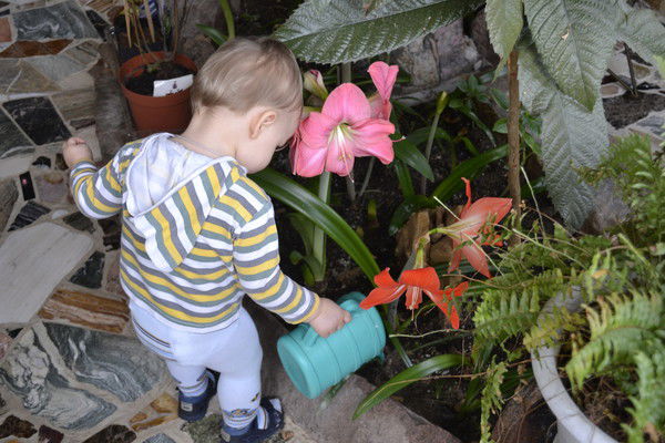 Мария Лесных