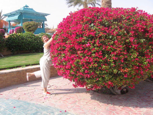 Ольга Гапич