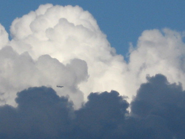 Юрий Шмелев