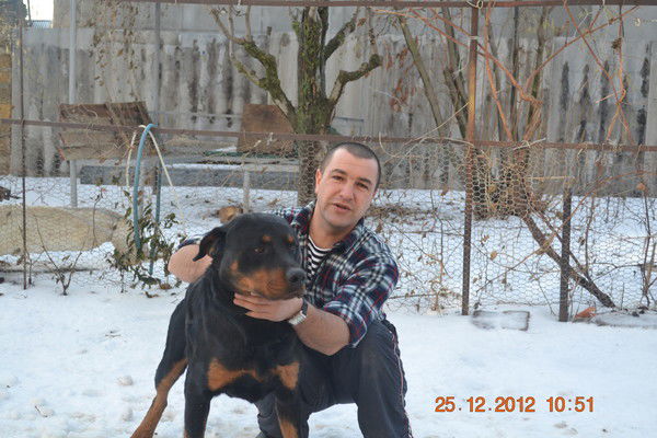 Мамутов Ленур