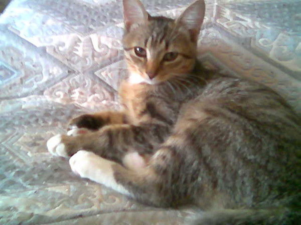 Евгения Шувалова