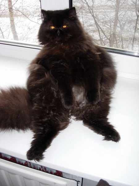 Андрей Захарьев