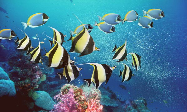 Олег Пантюхин