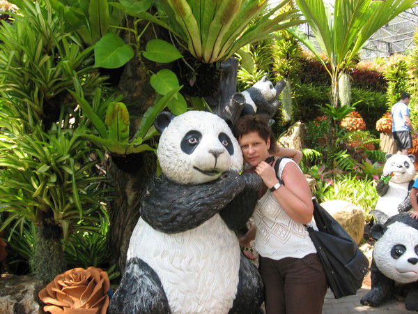 Елена Берест