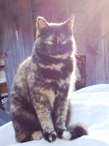 Настя Колмакова