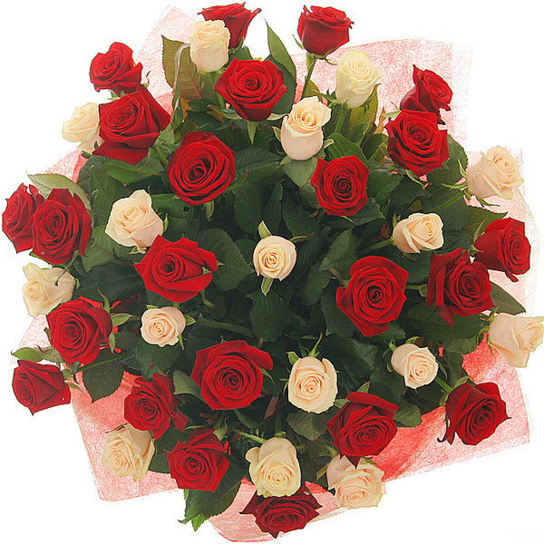 Тоо Сары Май Тоо Сары Май