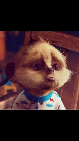 Айша Абишева