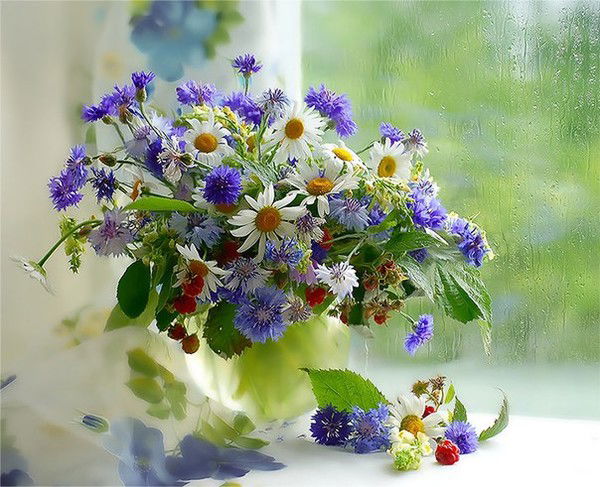 Анна Павленко