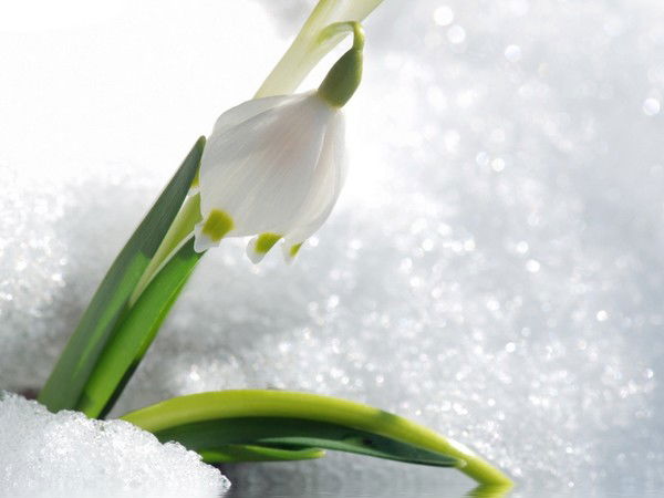 Наташа Гущина