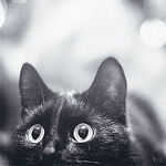 Андрей Сушков