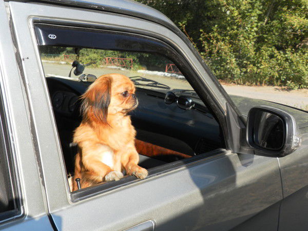 Мария Рэйлян