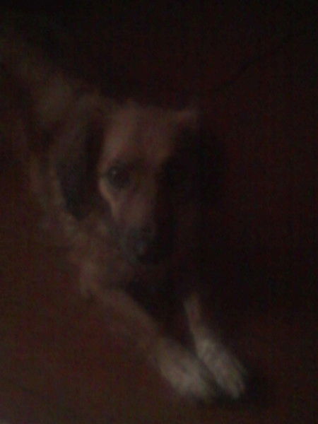 Артём Ольнев