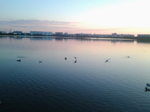 Ирина Волкова