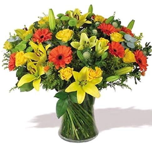 Светлана Васильева