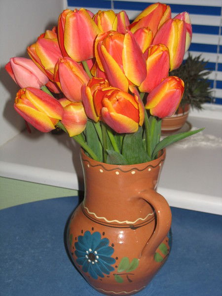 Елена Ковальчук