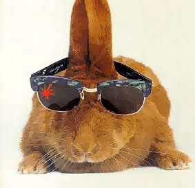 Сергей Беляев