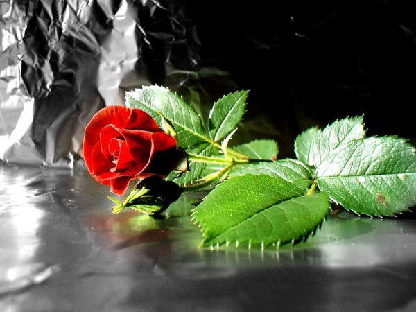 Ольга Чернышова