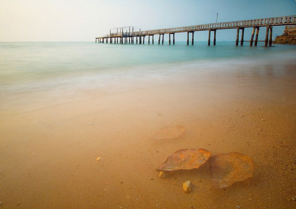 Евгений Шевченко