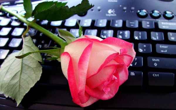 Ольга Кожевина