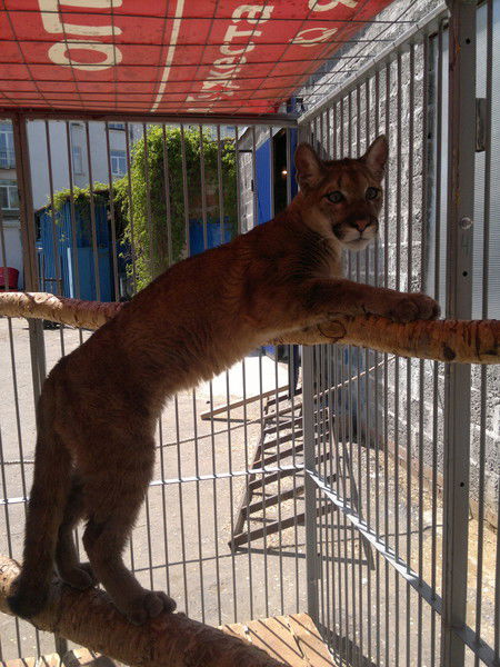 Валентина Белозерская