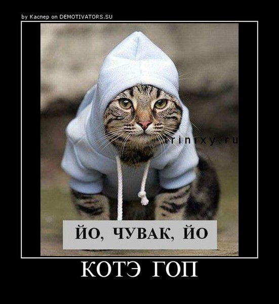 Александр Зимов