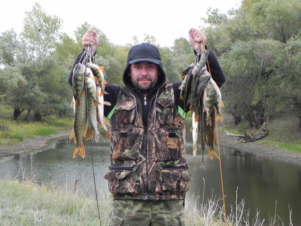 Сергей Царьков