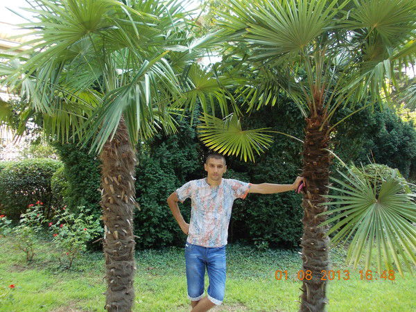 Юрий Чугаев