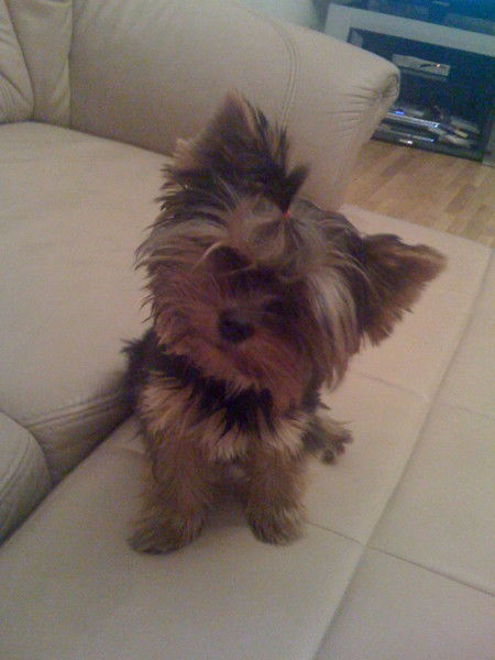 Добрая Девочка