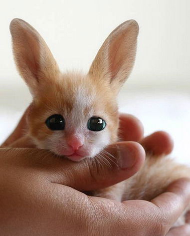 Ержан Айнабеков