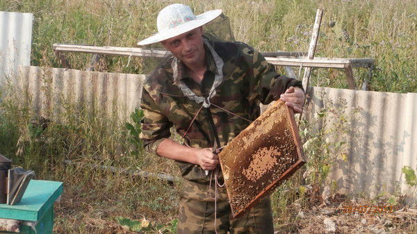 Алексей Шемякин