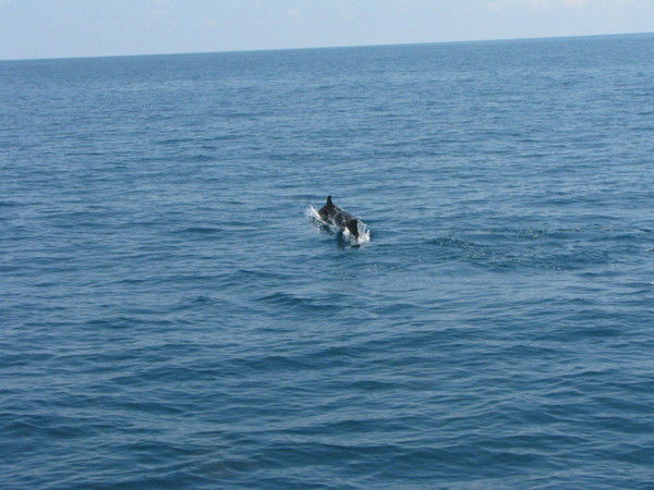 Евгения Анищенко