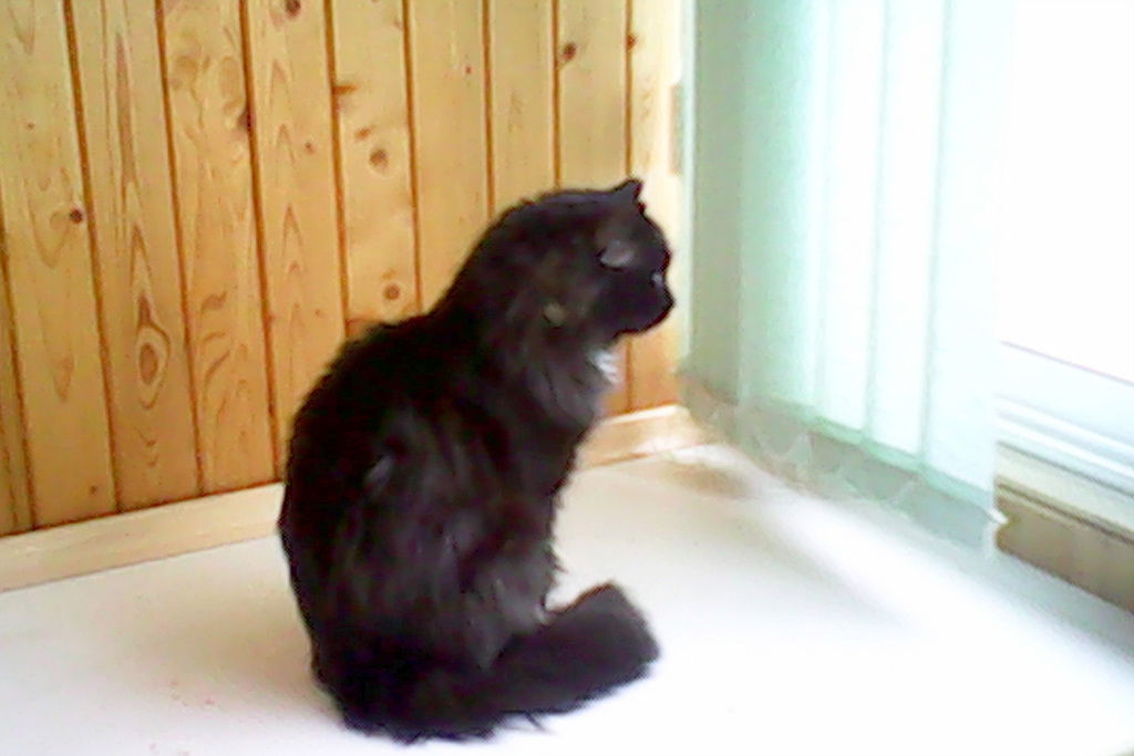 Юрий Семенов