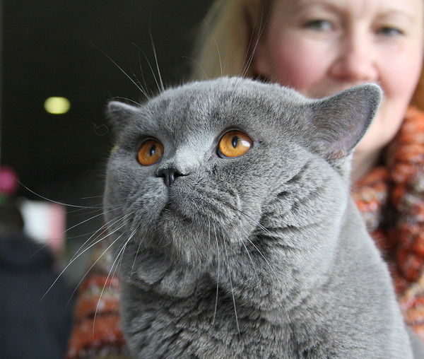 Сергей Климов