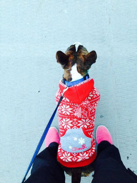 Ямохина Мария