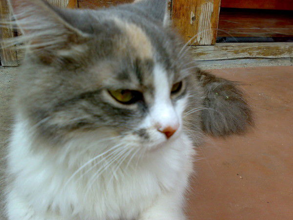 Виталий Андросенко