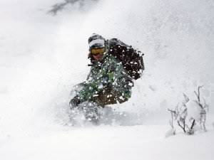 Александр Белокреницкий