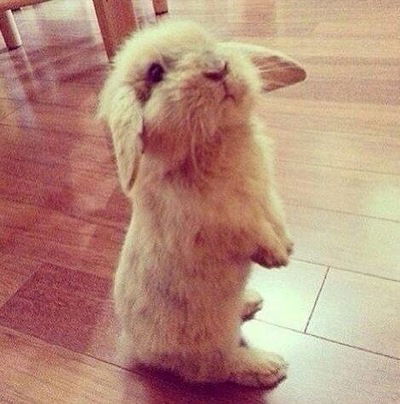 Малышка Малышка